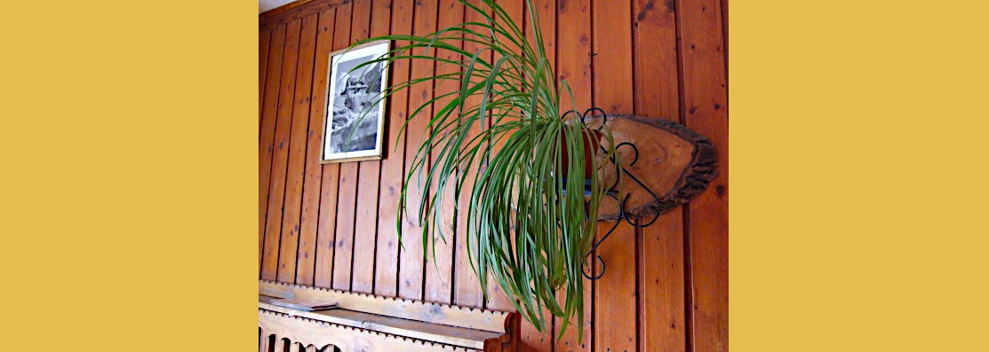 Zawoja-Chata-pod-Kwiatkiem